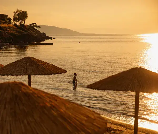 Fyki Beach Restaurant